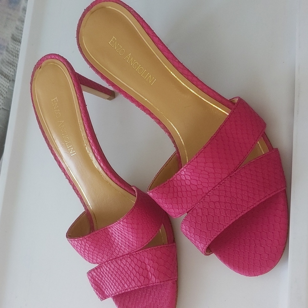 c25 NWOT Heels Enzo Angiolini